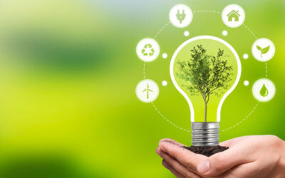 Empleos verdes: actualidad y futuro